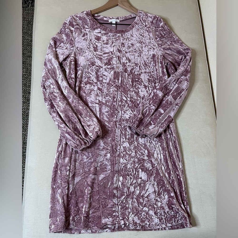 Abound Dusty Rose Crushed Velvet Mini Dress Long Sleeve Romantic Party Chic